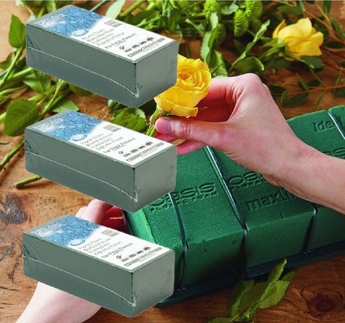 Green wet foam - 3, oasis
