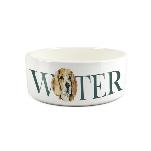 Beagle pet bowl dog portrait - dog,
