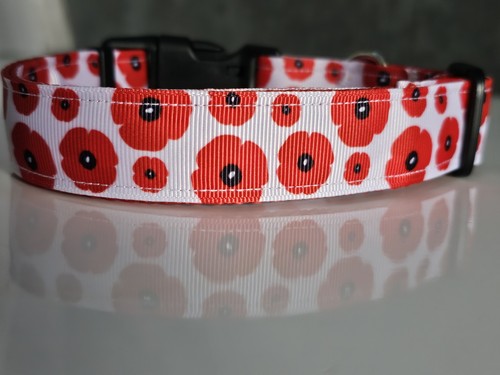 Adjustable dog collar poppy - dog,