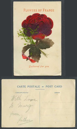Ww1 flowers france gathered - ww1,