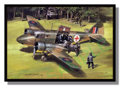 Raf airspeed oxford - raf,