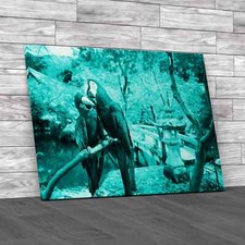 Blue Gold Macaw Teal Canvas
