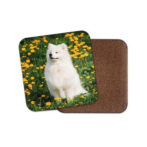 White samoyed dog coaster - dog,