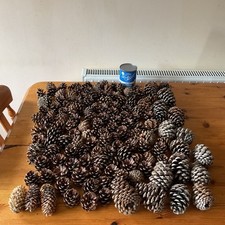 135 Natural Pine /Fir Cones,  Crafts Xmas Wreaths, Garlands Etc.