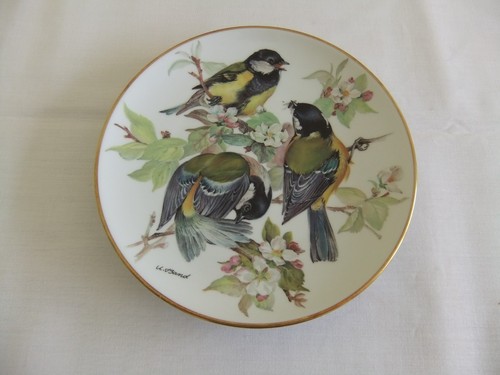 Great tit bird - tit, collector's