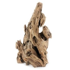Natural Mangrove Root |