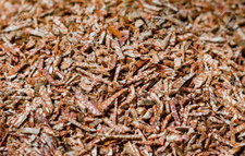 Betel Nut Sopari Shupari supari jeera cut 200g sealed retail pack - uk seller