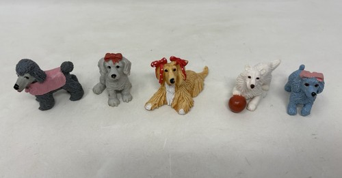Meg puppy pocket dogs - in, my