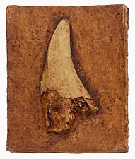 TYRANNOSAURUS REX dinosaur tooth replica T rex LL1-250