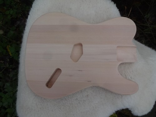 Snakehead tele style guitar - snakehead,