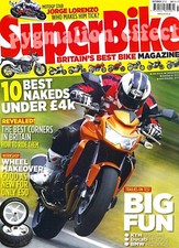 FZ8 Z750 BMW R1200GS Monster 695 Ducati M1200S KTM 990SMT Hornet CB600F Gladius