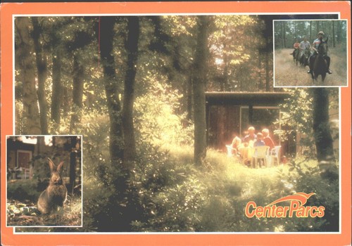 Vintage center parcs postcard - parcs,