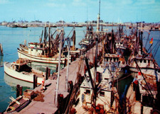 Shrimp Boats Key West Florida