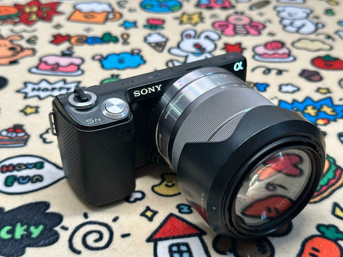 Sony alpha nex 1mp - alpha, nex-5n