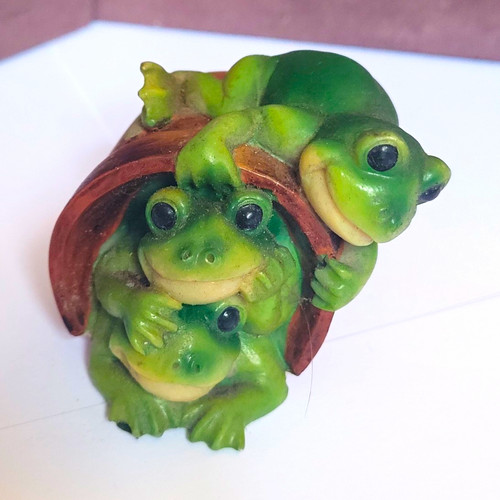 Just cats frog - &, on
