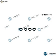 SEAL RING INJECTOR DRM03113S