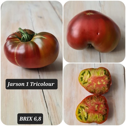 Rare tomato seeds - rare,