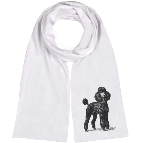 Black poodle standing - 'black,