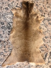 Genuine Deer Rug Hide Skin