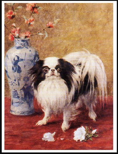 Japanese chin lovely - dog, art