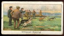 Boguslavsky, Turf SPORTS RECORDS, 2nd Series, 1925, Whippet Racing, #37