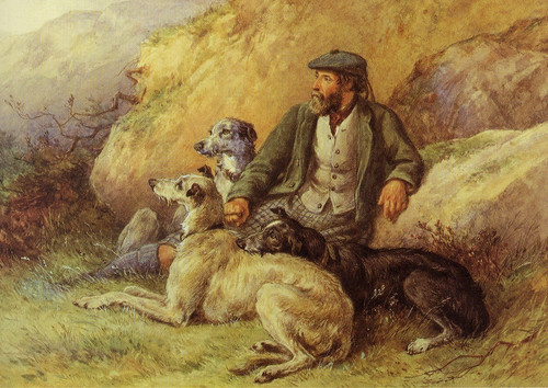 Deerhound dog greeting - deerhound, card