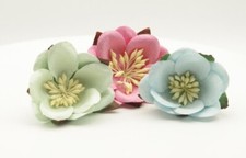 Cherry Blossom Mulberry paper Flowers Large 5cm Flower varied colours