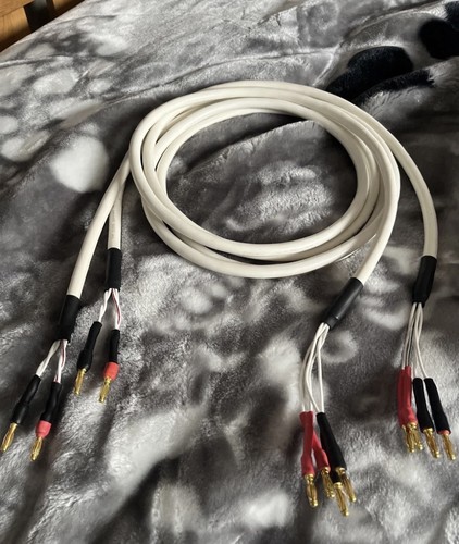 Chord rumor wire - 4, bi-wire