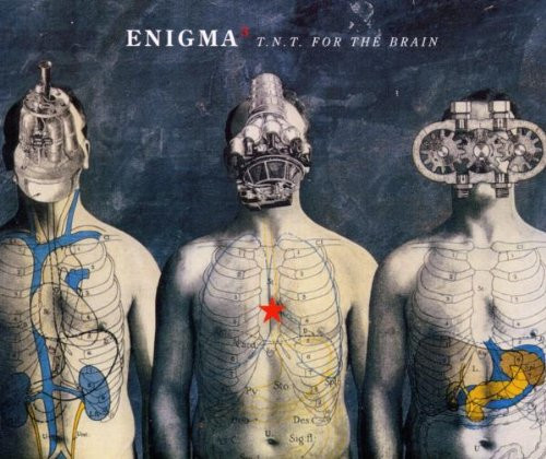Tnt for the brain enigma - tnt,