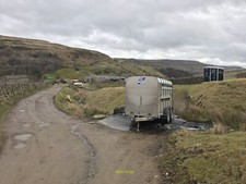 Photo 6x4 High Green Ford