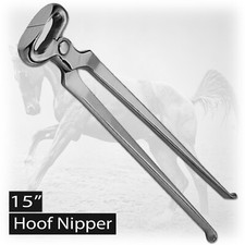 Professional Farrier Hoof