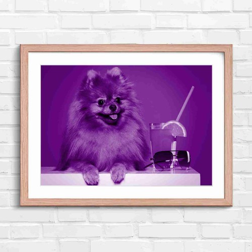 Cute fluffy brown - cute,
