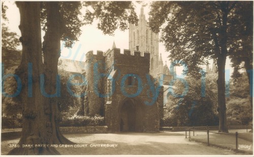 Canterbury dark entry green - dark,