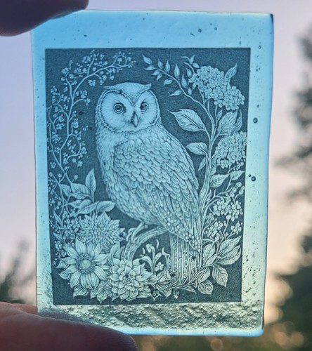 Stained glass owl - , window