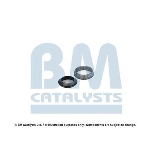 Catalysts mounting kit - bm,