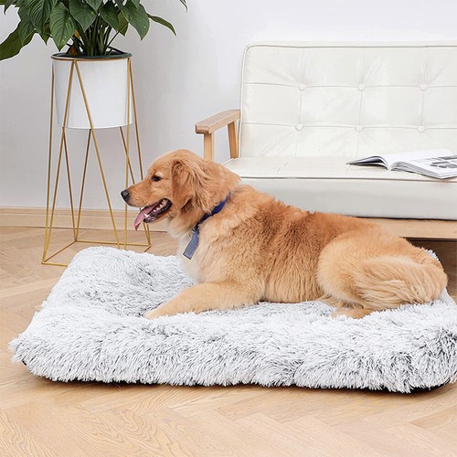 Warm large dog bed - dog, mat