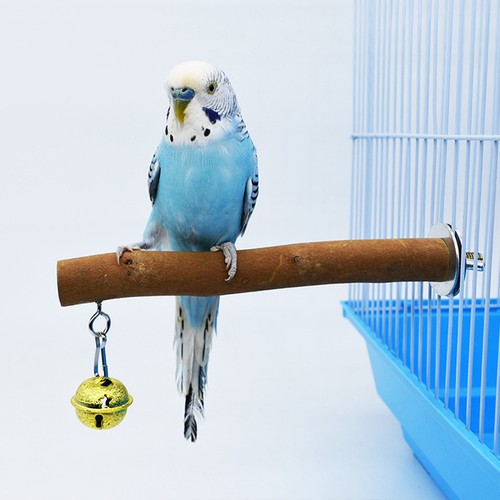 Natural wood bird perch stand - natural,