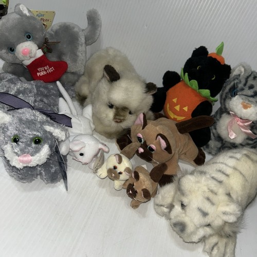 Lot plush cats - kittens, pound