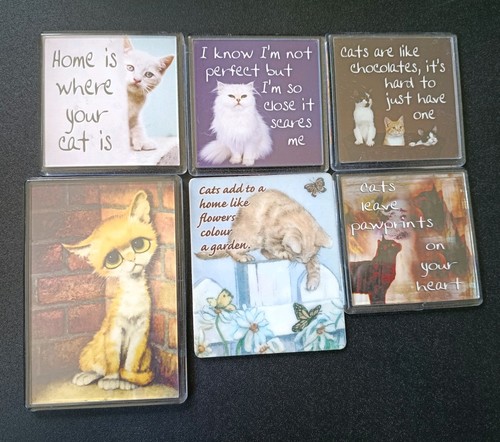 Cat themed fridge - cat, magnets