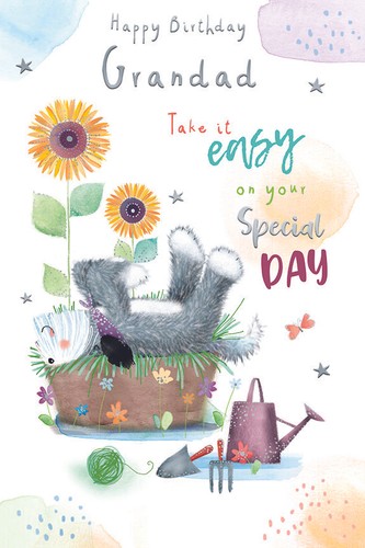 Happy birthday grandad card - happy,