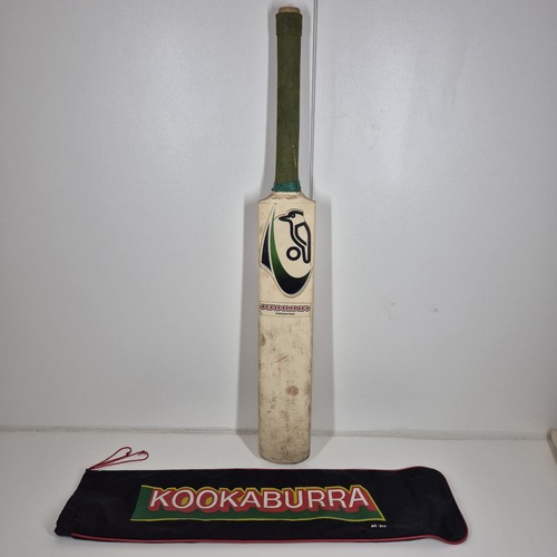 Kookaburra kahuna predator - kookaburra,