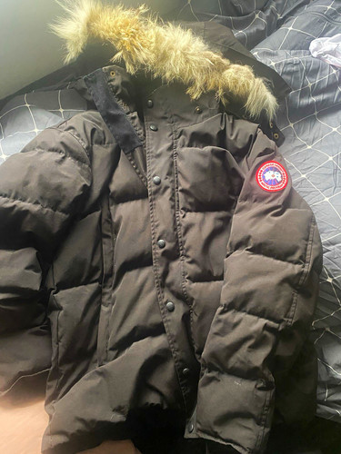 Canada goose men black - goose,