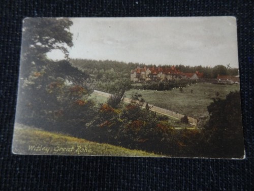 Witley great roke - witley,