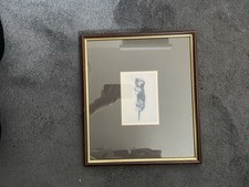 Dandie Dinmont Terrier Puppy Mounted & Framed, Features Pepper Puppy