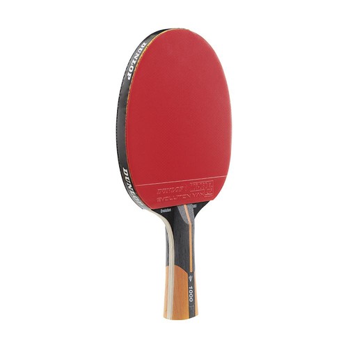 Dunlop evolution 1000 - 1000, tt