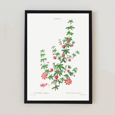 Botanical Vintage Flower