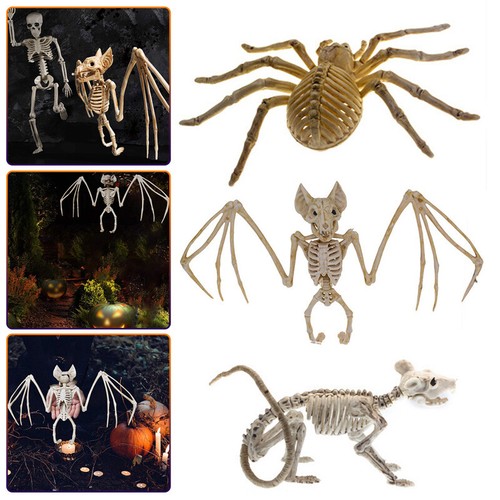 Halloween animal bat - halloween,