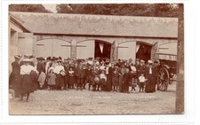 AT BOWHILL FLOWER SHOW