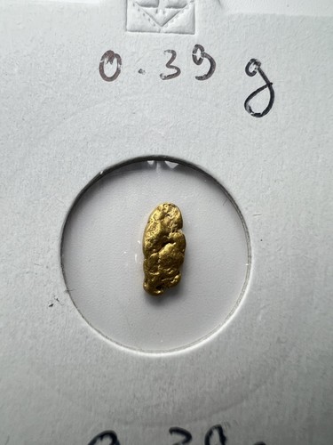 Gold nugget hand panned from - gold,