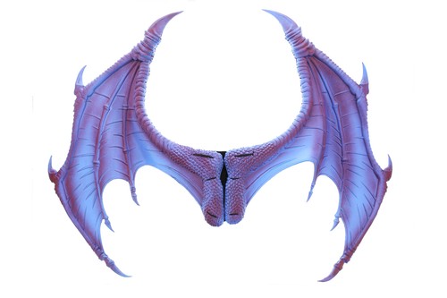Fancy dress dragon - dragon,